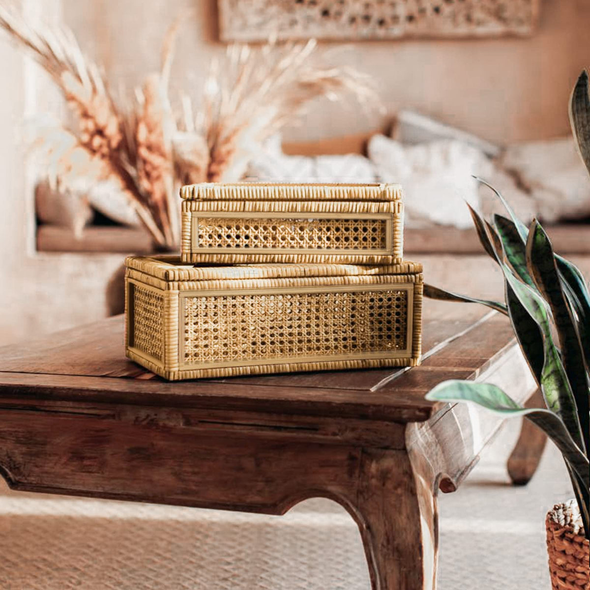 Large Handwoven Boho Rattan Display Boxes with Glass Lids - Set of 2 Rectangular Decorative Storage Bins - Natural Woven Cane Home Decor Organizers (15.55" x 9.64" x 5.9" & 12.48" x 6.88" x 4.52")