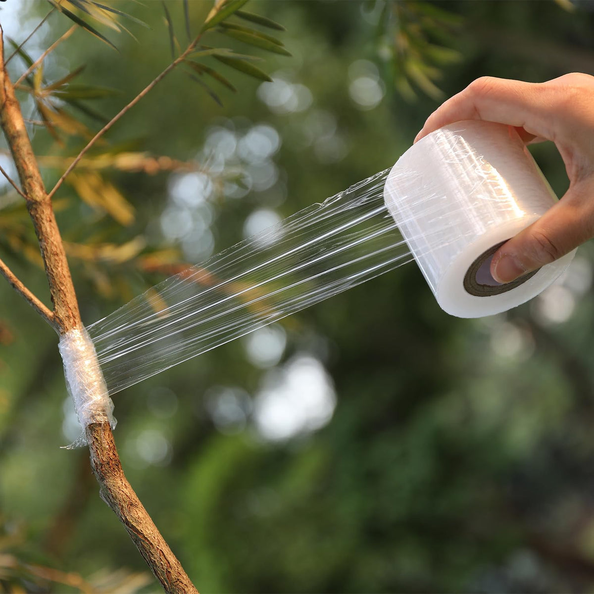 【2-Pack】Grafting Tape for Plants & Trees - Professional Strength Stretchable Clear Film for Wound Healing, Fruit Tree Repair, Bonsai & Rose Gardening | Eco-Friendly Self-Adhesive Bandage (2.3" x 32FT)